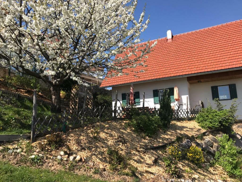 Kellerstoeckl Goigner Kitzeck im Sausal Exterior foto
